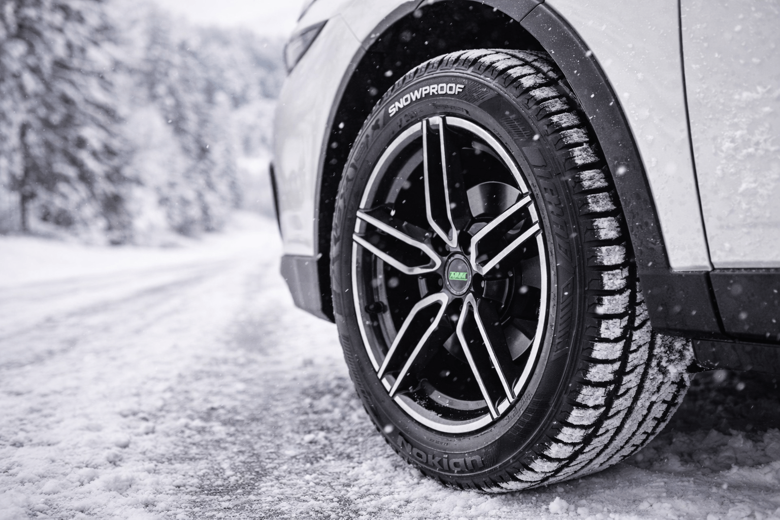 nokian
